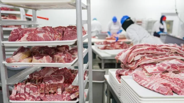 Segunda auditoría de Estados Unidos será del 11 al 18 julio (técnicos también recorrerán la Expo)