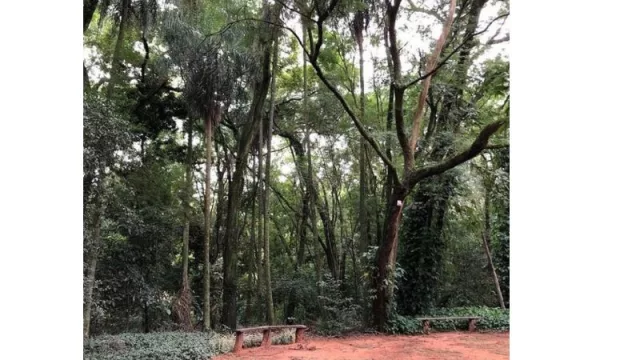 Reserva Guarapi: De área de producción a zona de conservación ecológica administrada por Doña Angela en Yaguarón