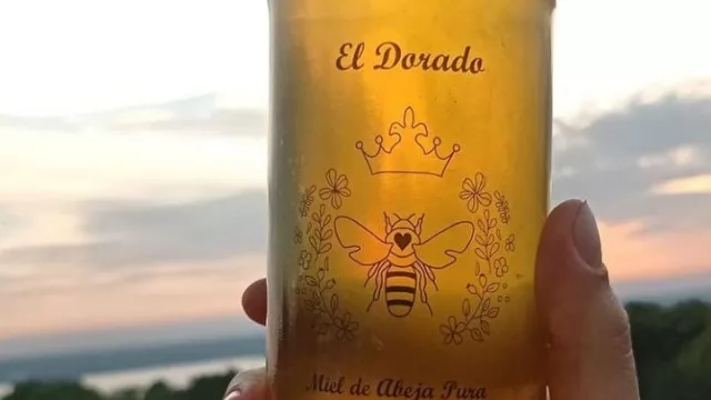 Desde Monte Lindo Bajo Chaco: El Dorado comercializa miel de abeja cruda directo del karanday