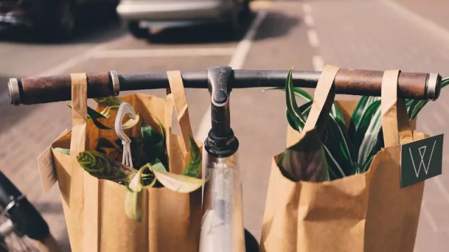 Cambio favorable: Paraguay registra crecimiento sostenido del consumo responsable (y de tiendas especializadas)