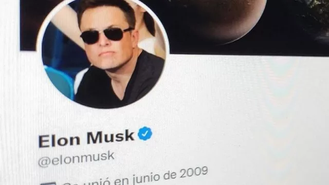 ¿Se volverá más democrático Twitter en manos de Musk? Lo que inquieta a algunos usuarios