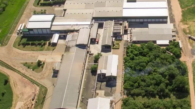 Chortitzer invertirá US$ 10 millones en planta algodonera (así incursionará en el rubro textil)