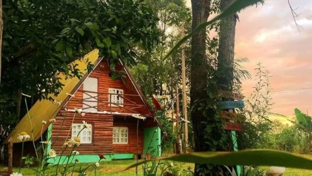 Cabaña El Bosque propone un refugio verde en San Cosme y Damián (ojo con su oferta gastronómica)