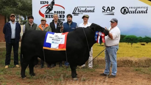 Expo Rodeo Neuland retorna para exhibir todo el potencial productivo del Chaco Central