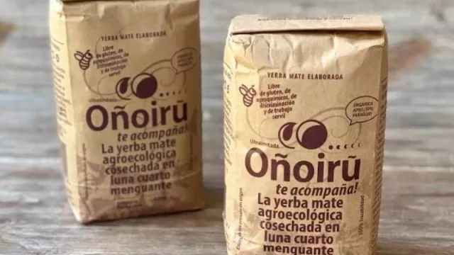 Oñoirũ enviará segundo lote de yerba mate orgánica a EE.UU. en la quincena (llegarán a producir 300.000 kg)