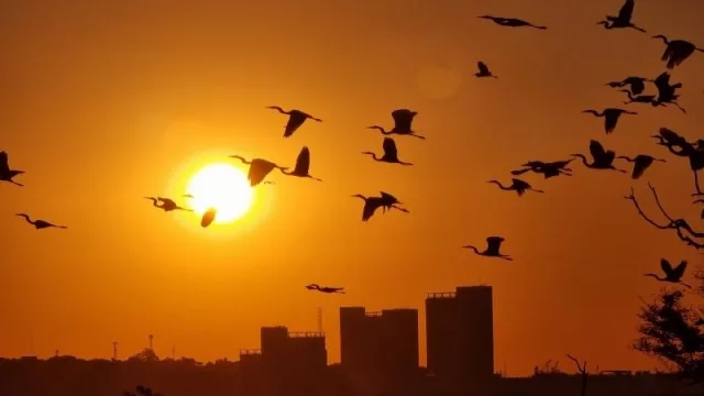 Primer lugar, versión colaboradores.