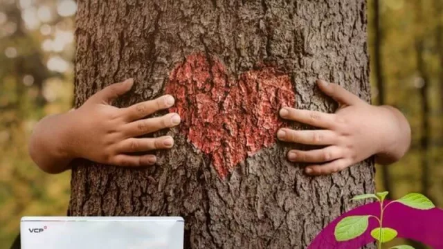 VCP Sociedad: Aire que reforesta & espacios con luz y vida