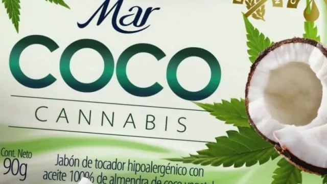 Trovato CISA incorporó al cannabis en su línea de jabones Mar Coco (y espera crecer 10% este año)