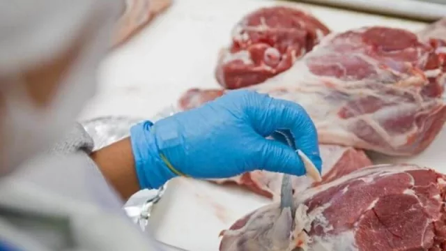 Hasta febrero, se exportó más de 45.000 toneladas de carne, incluyendo a Rusia pero cifras irían descendiendo 