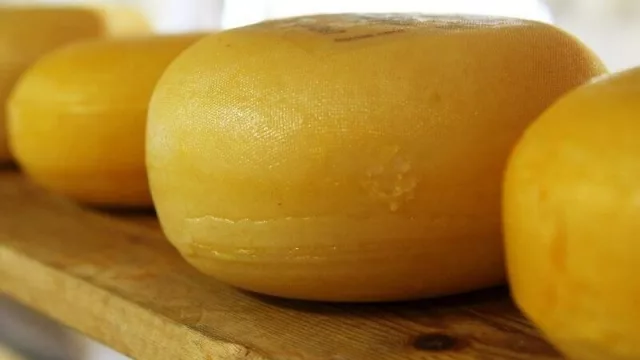 Nanawa recuperaría sus niveles de venta en 36 a 48 meses de funcionamiento regular