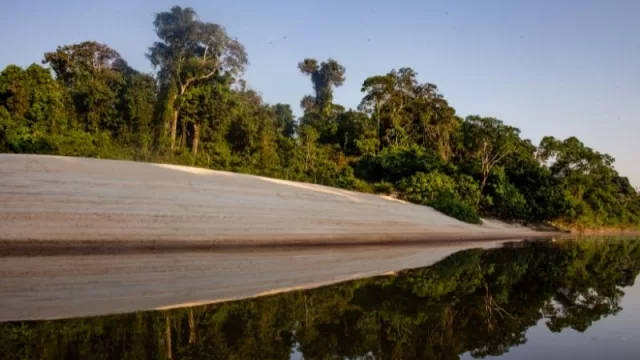 Aguada Park será carbono neutro tras acuerdo con climatech Moss.Earth y US$ 10 millones