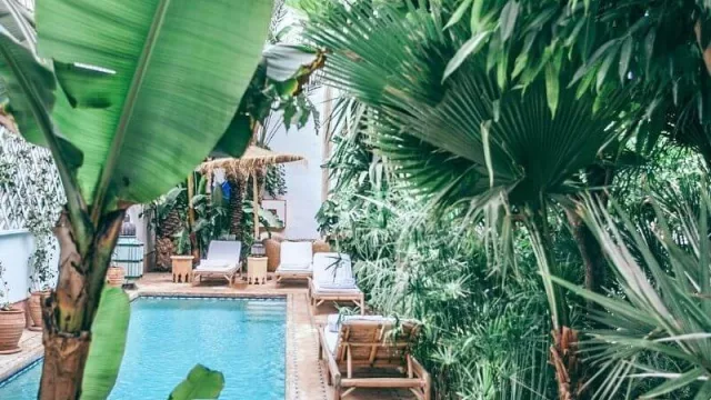 Posadas cumplieron con sus expectativas de alojamiento en la temporada de verano