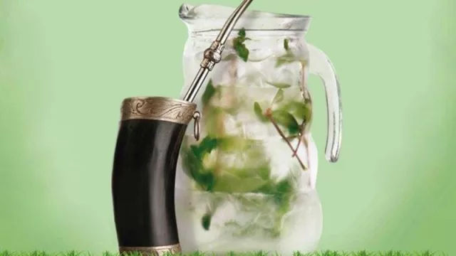 ¿Cuál es tu yerba favorita para preparar tereré?