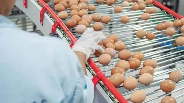 La meta de Nutrihuevos: comercializar 24 millones de docenas de huevos este año y expandirse con nuevas sucursales