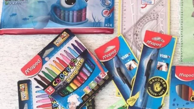 Grupo Álamo abarca el 20% del mercado de resmas de papel y el 50% de cuadernos (busca expandirse al norte)