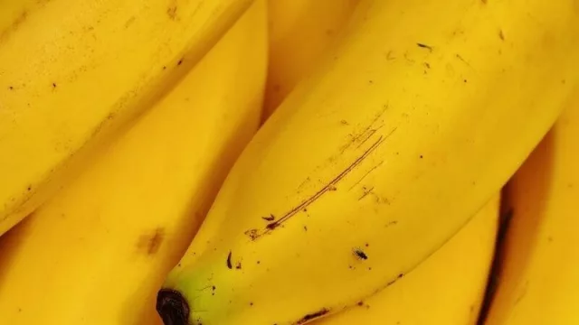 Nuevo récord por exportación de banana en 2021 con US$ 19,3 millones ingresados