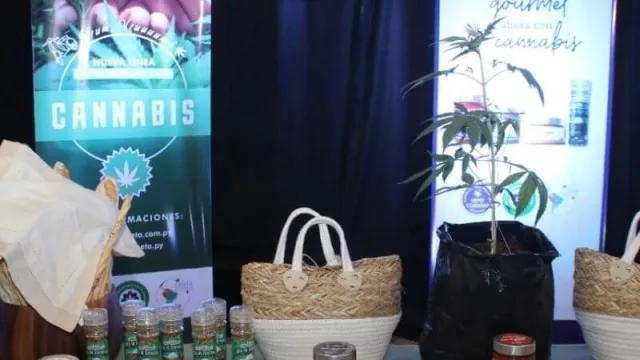 Grupo Harry concreta exportación de 27 salsas de cáñamo industrial a Costa Rica (por US$ 300.000)