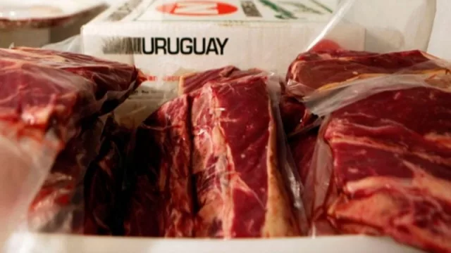 31% de crecimiento (exportaciones UY de enero sumaron US$ 883 millones)