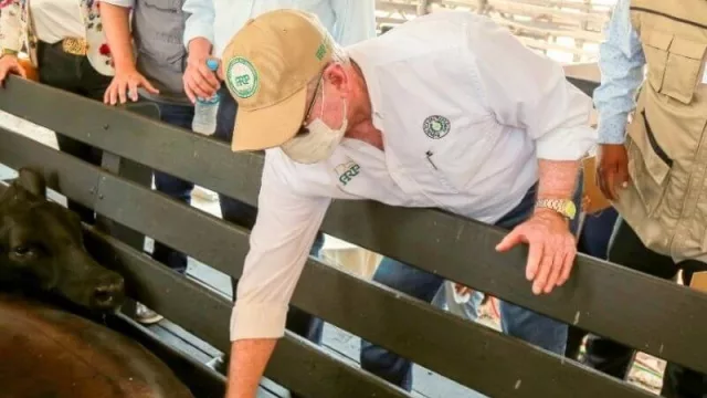 En marcha inmunización contra la fiebre aftosa y brucelosis bovina 2022 (apuntan a 13.600.000 animales)