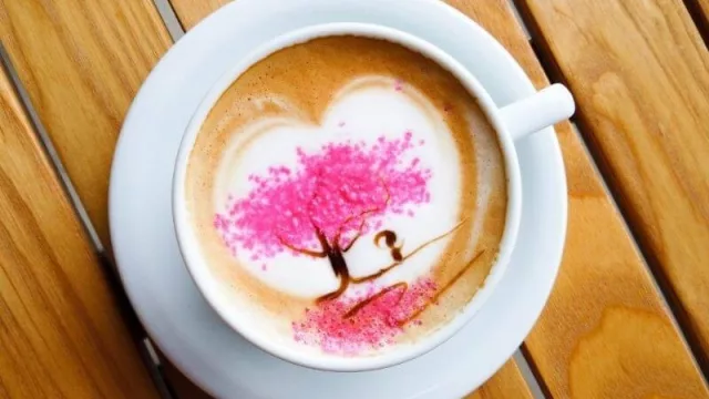 Artesanos Café: una cafetería que agrega colores a tu taza (el café Tajy es la estrella)