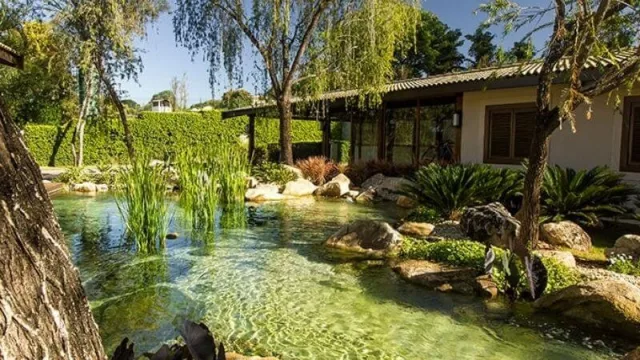 Bioma Ecossistemas, la empresa brasileña que proyecta llegar a Paraguay con su oferta de piscinas ornamentales