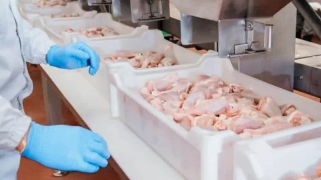 Exportación de pollo y cerdo generaron ingresos por US$ 14,4 millones en 2021
