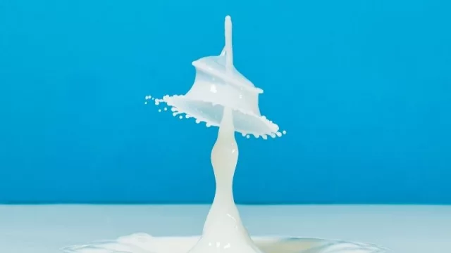 Sector lácteo tuvo un leve crecimiento interanual del 2% y buscan industrializar más quesos