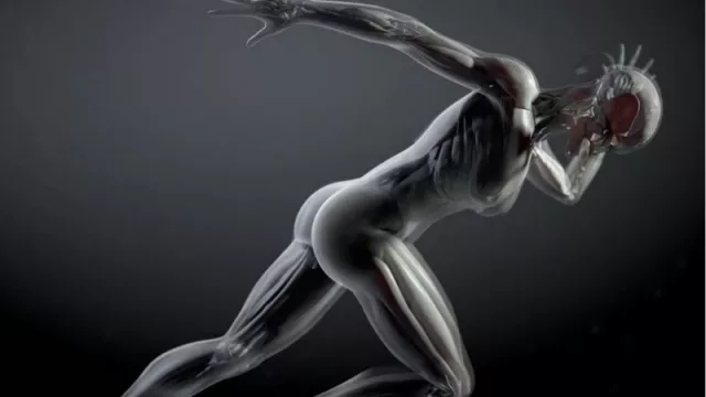 Buscan crear un población de avatares humanos (adultos y niños) para ensayos clínicos 