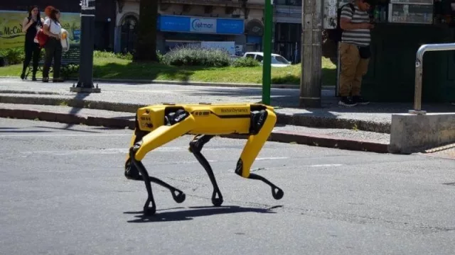 Llegó el mejor amigo robótico del hombre (y su nombre es Spot)