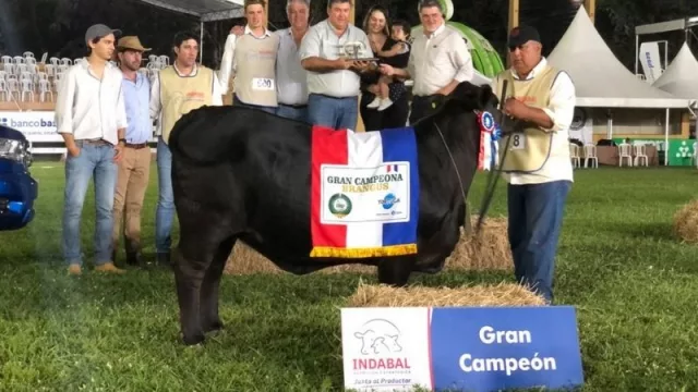 Exitosos juzgamientos en la Expo Ganadera 2021, razas ovinas, caprinas, equinas y algunas bovinas eligieron a sus grandes campeones