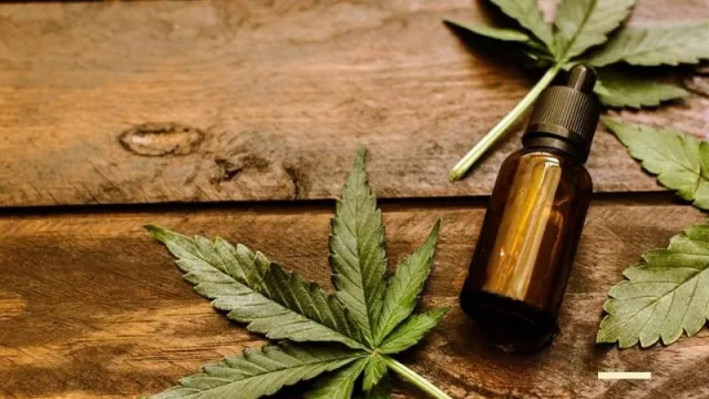 ¿Qué hacemos con el cannabis que sobra y está guardado? (adiviná)