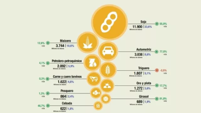 Santa Soja: las exportaciones de ese complejo son US$ 33,6 de cada US$ 100 que entran al país