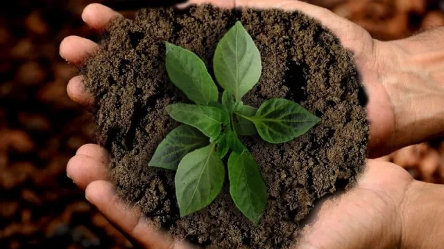 Pojoaju impulsará participación ciudadana para alcanzar metas de desarrollo sostenible propuestas en Agenda 2030