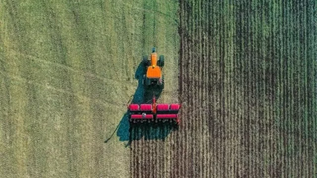 Lo que se debe tener en cuenta sobre el gigantesco aumento de precio de commodities de la región