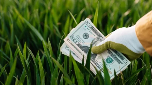 Inversiones de gran impacto ambiental son necesarias y hoy costarían menos que a futuro