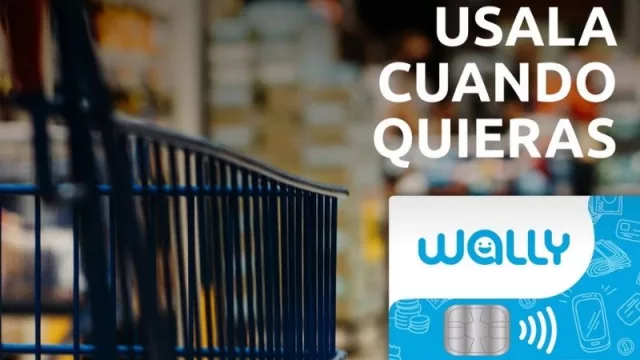 Wally tiene más de 33.000 usuarios y ya ofrece servicio B2B (desembolso de salarios y viáticos)
