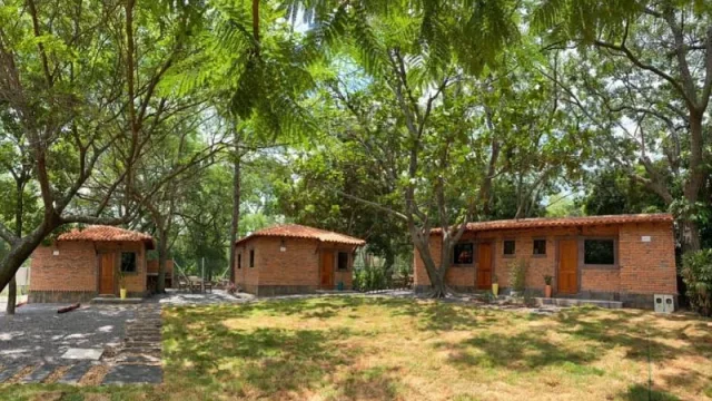 Los Árboles Cabañas: un espacio verde y acogedor rodeado de árboles nativos en San Bernardino