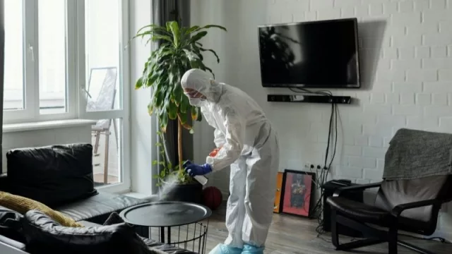 Aumentó número de empresas de limpieza por la pandemia (pero la nuevas no duraron mucho)