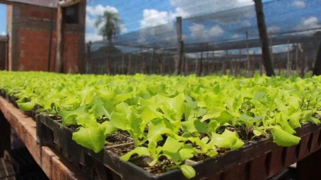 Buscan captar más de 100 mipymes con valor industrial para fomentar su crecimiento