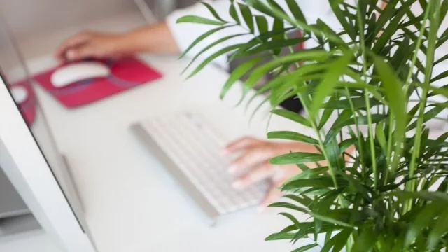 Trabajo remoto vs. presencial: la experiencia que tuvieron algunos sectores de la economía nacional