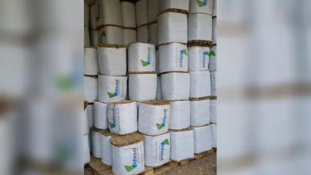 Las 15 pymes cordobesas que lograron su primera exportación en pandemia 