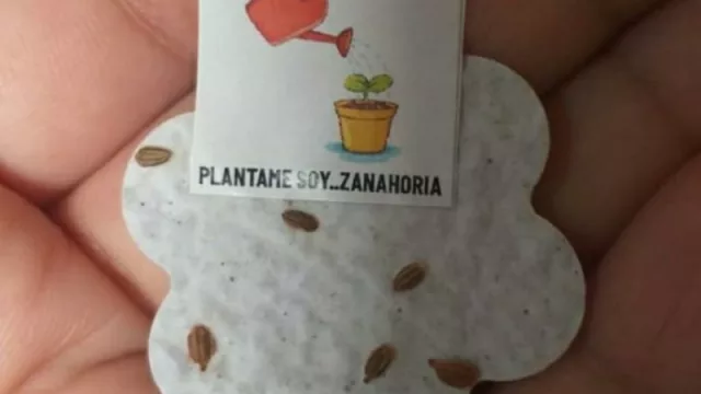 P de Papel: un nuevo emprendimiento que recicla papel para volver a fabricarlo