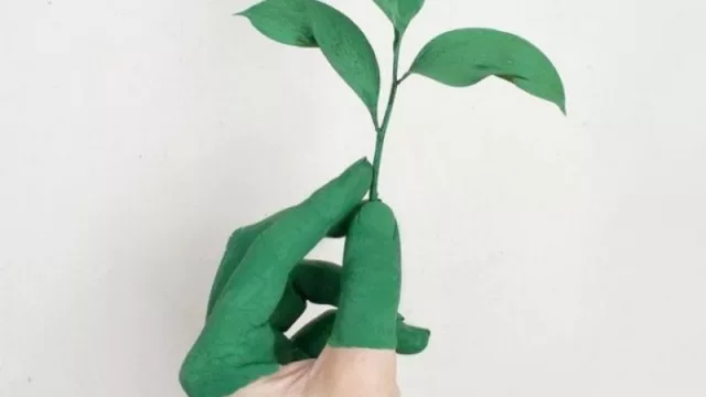 ¿Por qué el marketing verde debería ser parte de la cultura de las empresas?