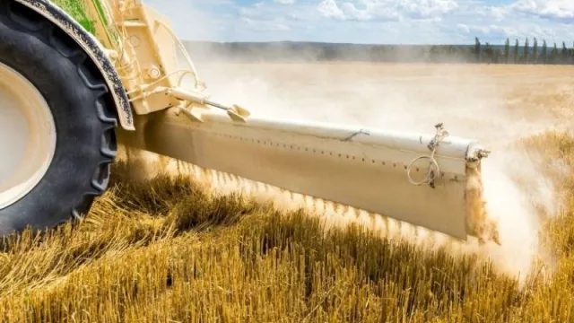 Industriales solicitan mayor control fronterizo para potenciar producción de cal agrícola (sector cuenta con capacidad de generar 1 millón de toneladas al año)