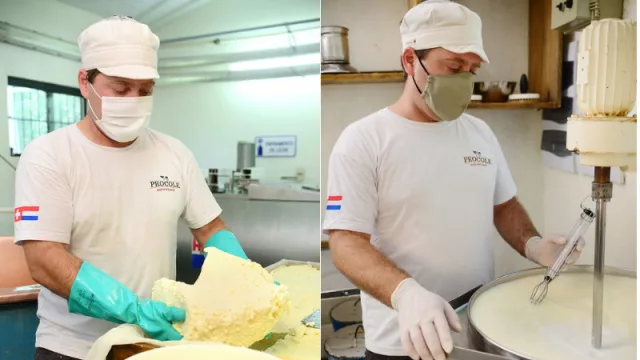 Quesos europeos made in Piribebuy: la empresa Procole da valor agregado a la leche de productores locales