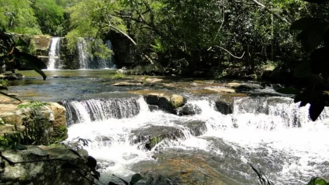 ¿Buscando dónde hacer ecoturismo? Seis parques naturales donde podés divertirte