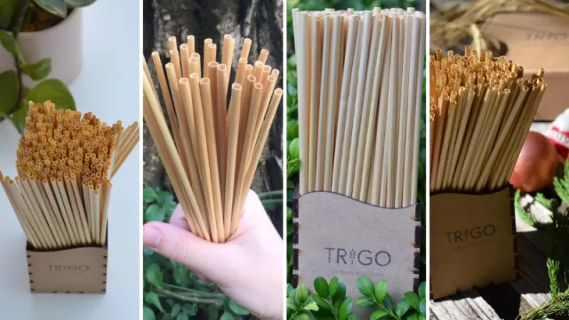 Por un mundo más “green”: Trigo, los sorbetes ecológicos que buscan instalarse en bares y restaurantes (ya vendieron 400.000)