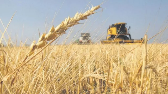 En el primer mes de 2021 aumentaron 7,6% las exportaciones de bienes