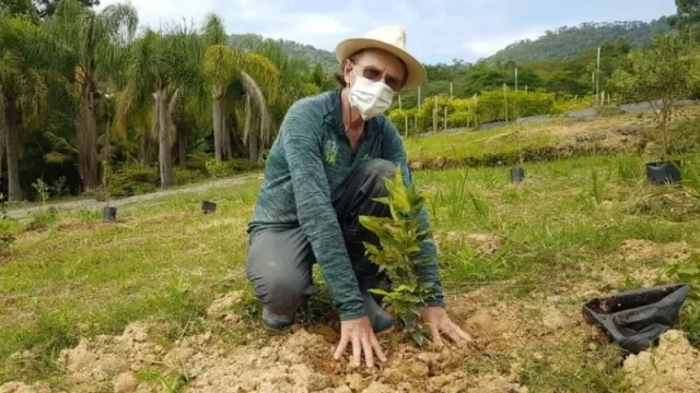 Un árbol por cada vida perdida a causa del COVID-19: la iniciativa brasileña que el mundo podría replicar