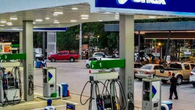 Francisco Barriocanal de Enex: "Nuestro objetivo es incorporar un mínimo de 40 estaciones más para fin de año"